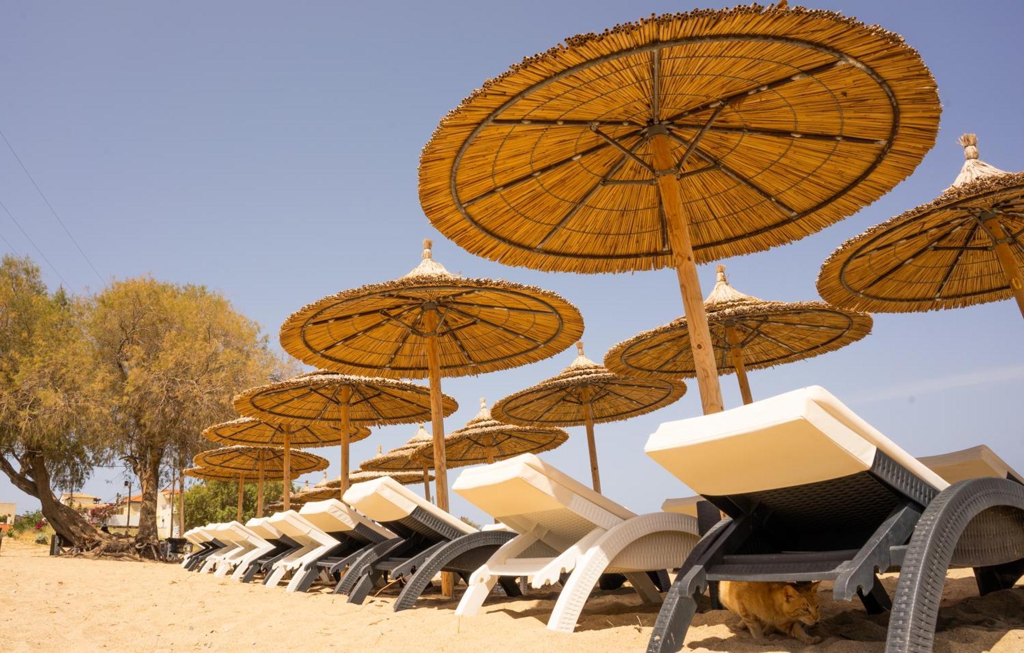 אלפוניסוס Coralli Rooms & Restaurant מראה חיצוני תמונה
